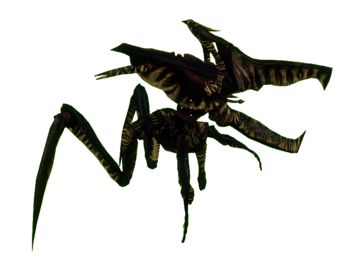 Arachnid Warrior.png